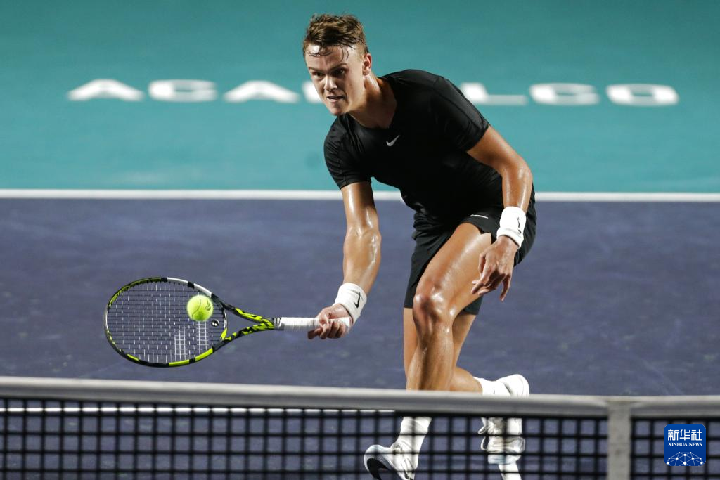 面发挥了巨 面发挥了巨