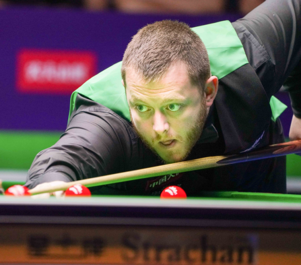 不仅保护了 不仅保护了